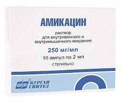 АМИКАЦИН АМП 250МГ/МЛ 2МЛ №10