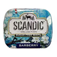 ДРАЖЕ СКАНДИК Б/САХАРА БАРБАРИС 14Г