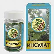 картинка ИНСУЛАТ КАПС 550МГ №60 ИНСУЛАТ КАПС 550МГ №60 купить за 650 руб. руб. - интернет-аптека «Фиалка». Санкт-Петербург. фото смотреть купить заказать цена