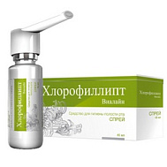 Хлорофиллипт, спрей д/рта 45 мл
