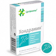 картинка ХОНДРАМИН ТАБЛ. №40 ХОНДРАМИН ТАБЛ. №40 купить за 690 руб. руб. - интернет-аптека «Фиалка». Санкт-Петербург. фото смотреть купить заказать цена
