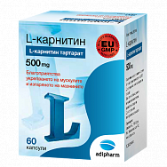 картинка Л-КАРНИТИН КАПС 560МГ №60 Л-КАРНИТИН КАПС 560МГ №60 купить за 1 295 руб. руб. - интернет-аптека «Фиалка». Санкт-Петербург. фото смотреть купить заказать цена